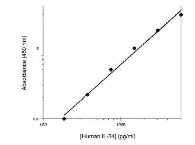 ELISA: Human IL-34 ELISA Kit [KA2217] - Standard curve.